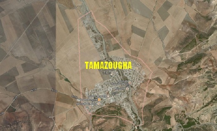 La wilaya d’Ain Témouchent mise sur la future zone industrielle de Tamazougha