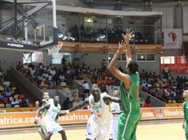 Classement FIBA : l&rsquo;Algérie perd 18 places et recule au 86e rang