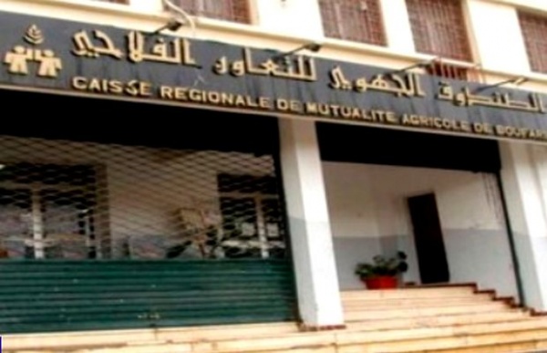 Très peu d’engouement pour l’assurance agricole : La Cnma veut convaincre