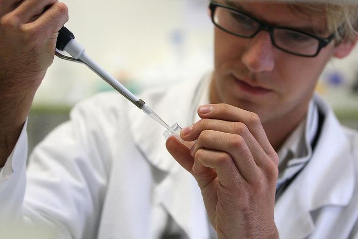 Santé: Des chercheurs suisses découvrent une molécule contre le paludisme