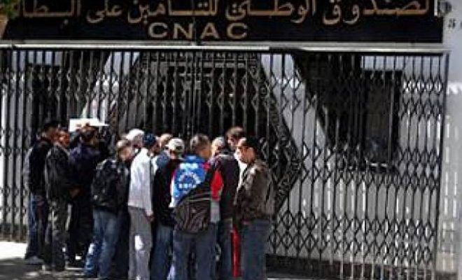 CNAC: 49% d’entreprises créées dans le domaine agricole