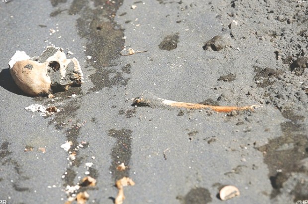 Fortuitement au cours des travaux: Des ouvriers découvrent des ossements humains sur un chantier