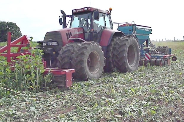 Campagne labours-samailles 2017-2018 Objectif : s&rsquo;autosuffire en légumes secs