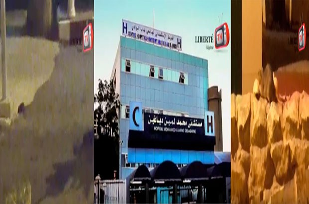 Le CHU de Bab El Oued infesté par les rats d’égout (Vidéo)