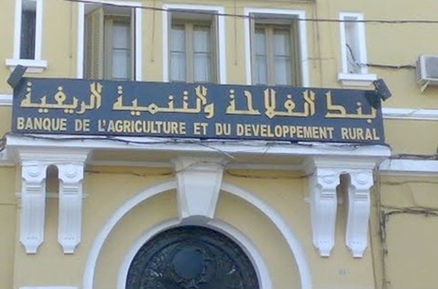 La Badr leur impose un assureur Les agriculteurs interpellent la tutelle