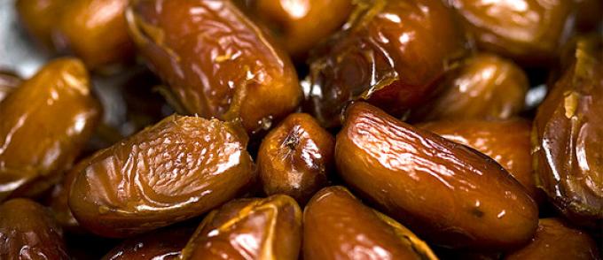 Près de 82.000 q de dattes prévus