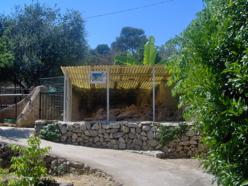 RELIZANE : Afflux des familles au parc du Fennec Land