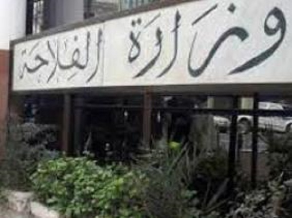 Journée Mondiale de l’Alimentation Mostaganem célèbre l’événement