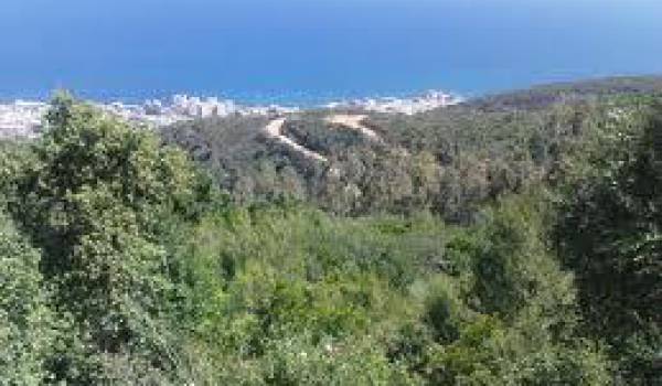 Conservation des forêts : Vers l’ouverture de 100 km de pistes à travers 8 zones forestières