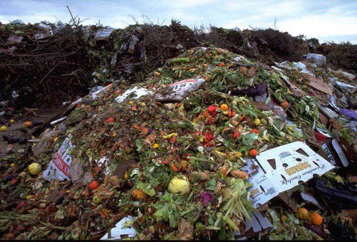 Gaspillage alimentaire en algérie : Un gâchis qui coûte 35 milliards d’euros