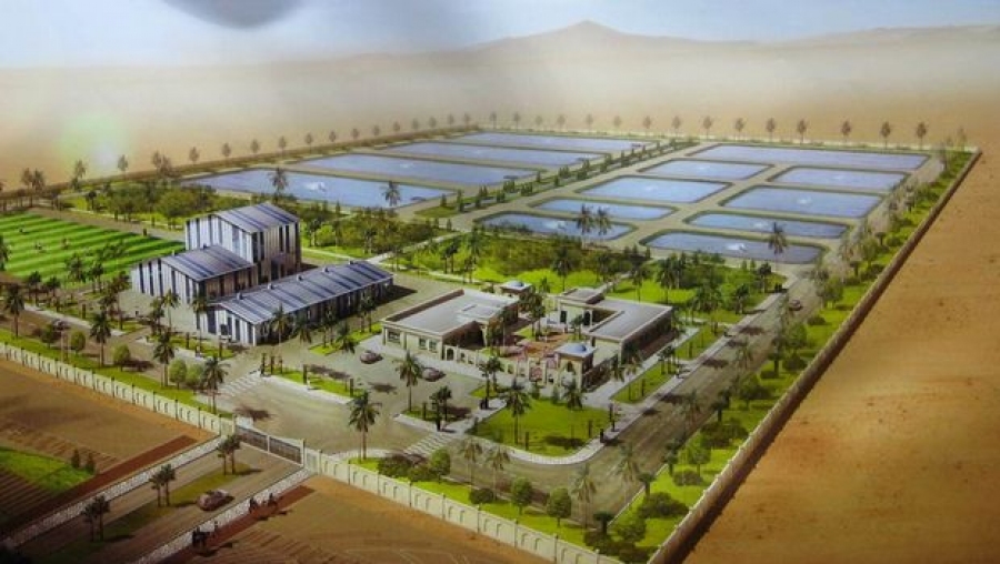 Algérie: Vers la relance par le biais de l&rsquo;investissement privé de la ferme pilote de Tadjmout (Laghouat)