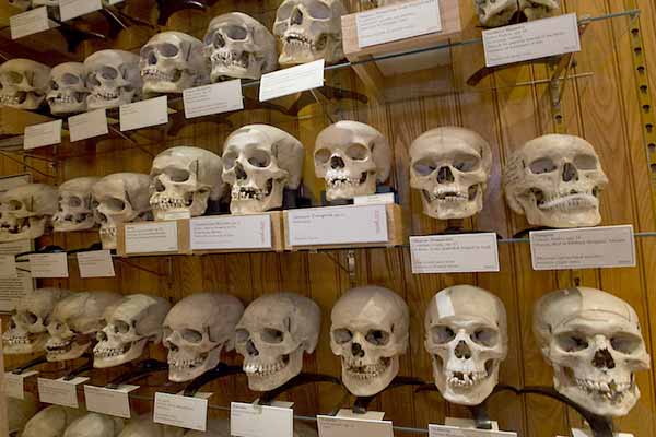 Récupération des crânes des martyrs de la résistance: L’opération sera coordonnée par les AE et les Moudjahidines