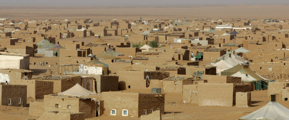 Vol Paris-Dakhla: la compagnie Transavia assignée à comparaître devant le tribunal