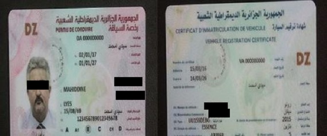 Entrée en vigueur du permis à points le premier semestre 2018