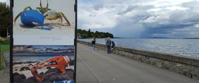 Préservons nos océans: une exposition pour sensibiliser le grand public