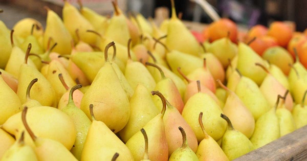 La poire : plus que jamais abondante!