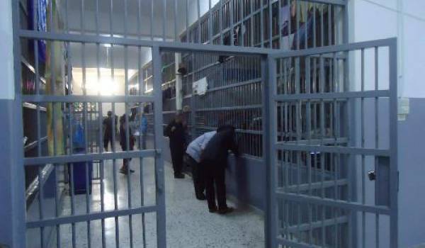 Sidi-Bel-Abbès : 2 ans de prison pour un voleur de bétail