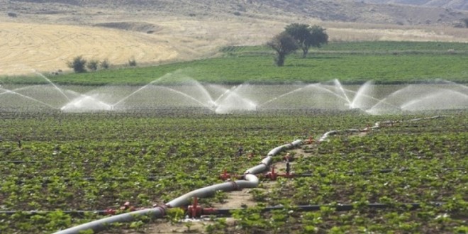 Formation de plus de 300 jeunes porteurs de projets agricoles