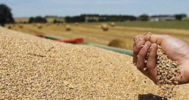 Sécurité Alimentaire : L’Algérie classée 68ème sur 113 pays étudiés