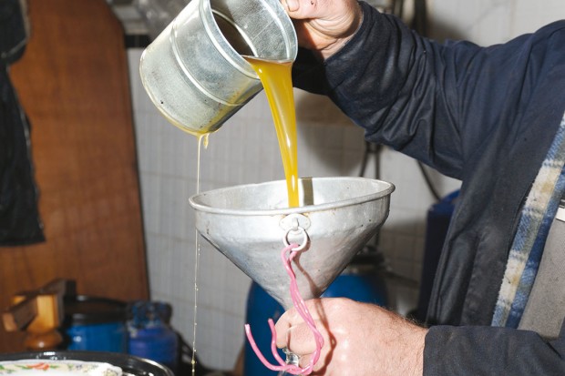 Production oléicole : Plus de 2,5 millions de litres d’huile d’olive attendus