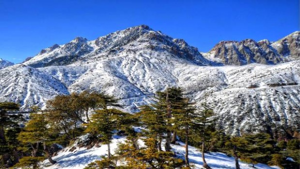 Bouira : Premieres neiges a tikjda