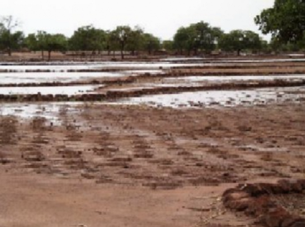 Des terres agricoles inondées par les eaux usées