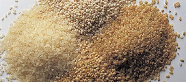 Industrie agroalimentaire Nouveau produit sur le marché