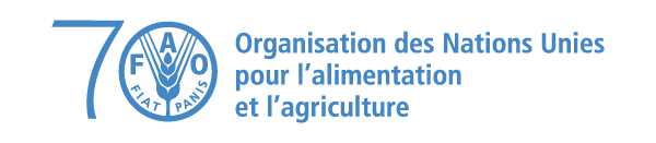 Projet de développement en Afrique du Nord et au Proche-Orient