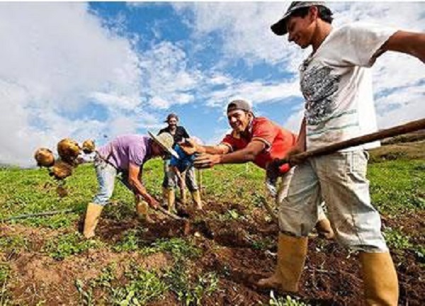 L’algérie dans le top «10» mondial de la production de plusieurs produits agricoles : Des chiffres qui tordent le coup aux idées reçues