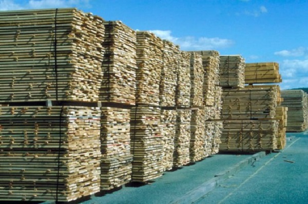 Bois: les restrictions sur importations en Algérie font perdre 100 millions d’euros à la France