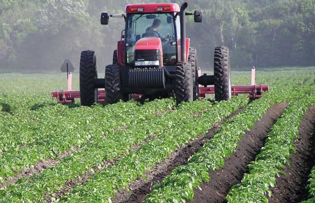 La FAO : alerte sur les effets du changement climatique