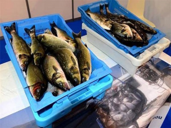 SIPA 2017 : Un espace de dégustation pour promouvoir les poissons d&rsquo;élevage