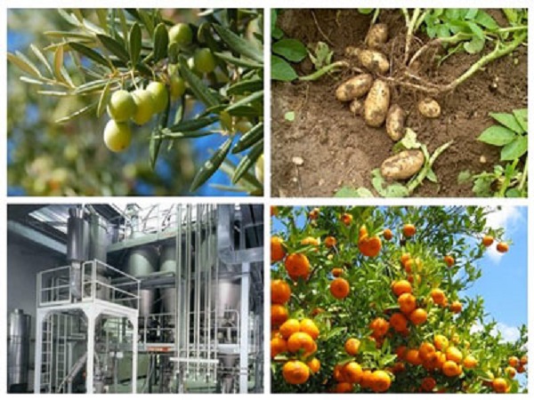 Afin de valoriser les produits agricoles Le Groupe « Gvapro » appelé à fournir plus d&rsquo;efforts