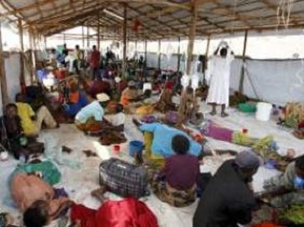 RDC : 1990 nouveaux cas de choléra enregistrés en une semaine, 50 décès Kinshasa