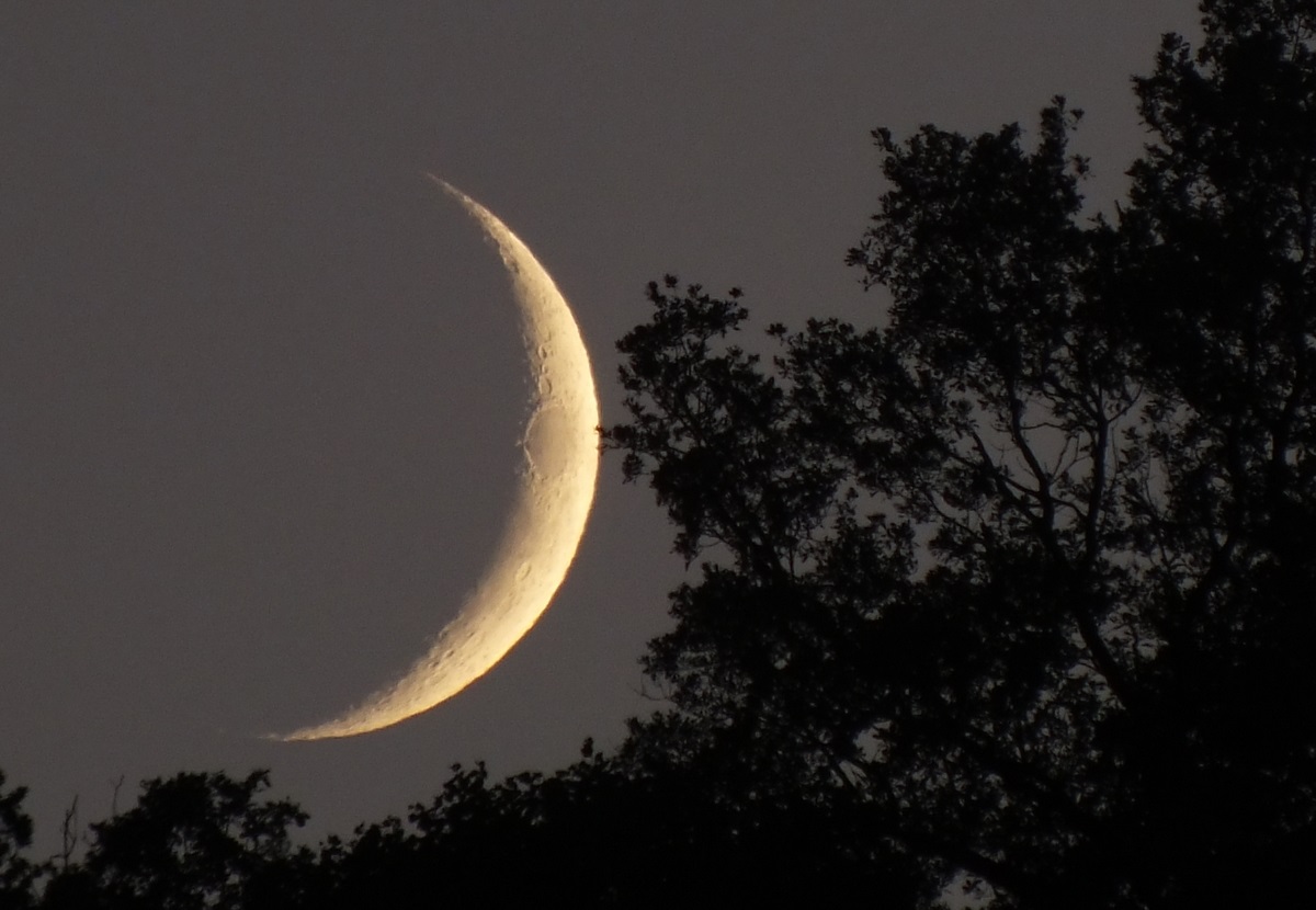 Le Mawlid Ennabaoui célébré vendredi 1er décembre 2017
