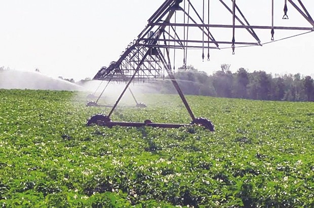 Séminaire international sur l’environnement, l’agriculture et la biotechnologie à Bouira : Les dangers de l’intensification agricole