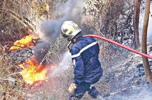 Victimes des incendies à Mila L’opération d’indemnisation lancée
