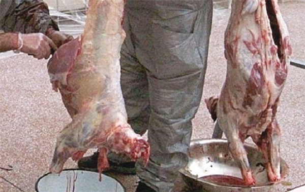 Vente de viande provenant de l&rsquo;abattage clandestin: Une trentaine d&rsquo;étals informels démantelés à Es-Senia et Ain El Beida