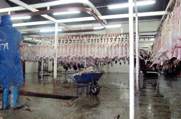 Gestion des marchés et abattoirs à Blida : Mise en service d’un Epic début 2018