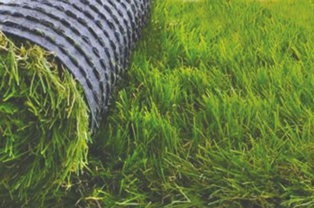 Aménagement de l’OPOW de Tiaret: Un budget de 300 millions de dinars débloqué