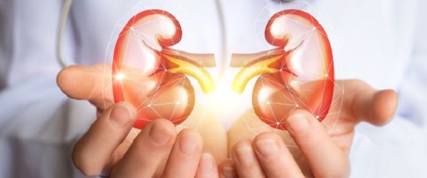 Lancement d&rsquo;un fichier national de l&rsquo;insuffisance rénale