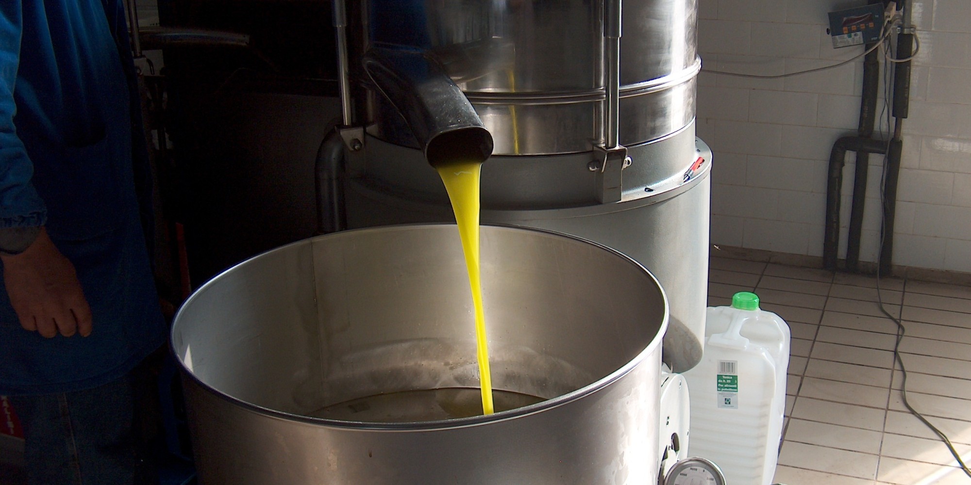 Une production de plus d&rsquo;un million de litres d’huile d’olive attendue dans la wilaya de M’sila