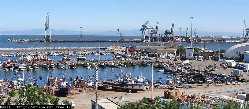 Saisie de produits israéliens au port d’Annaba