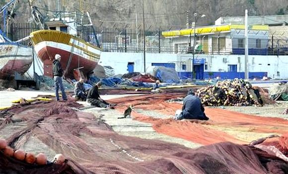 Pêche-Tlemcen: plus de 200 projets d’investissement identifiés