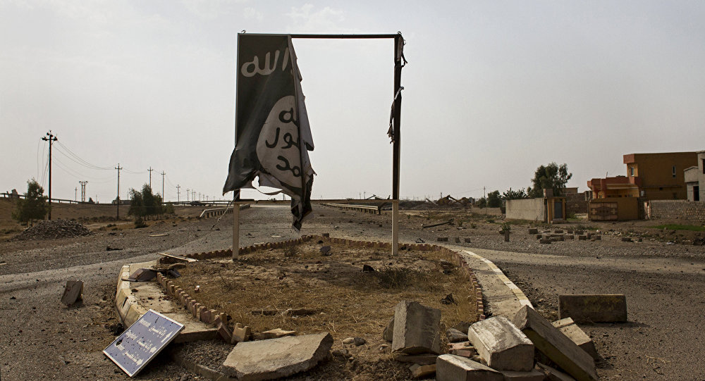 Daech décimé en Syrie