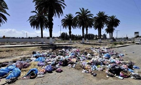 Alger: plus de 90 décharges sauvages éradiquées en novembre