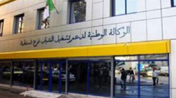 220 micro-entreprise créées