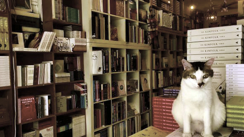 Une petite librairie pour «ouvrir les esprits»