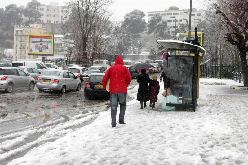 Constantine – Mercuriale: Quand la neige provoque la flambée des prix