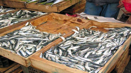 Poursuites et sanctions contre les mis en cause